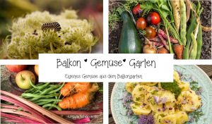 Read more about the article Buch “Balkon Gemüse Garten”