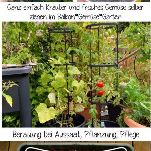 Sachbuch “Balkon Gemüse Garten”